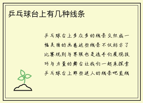 乒乓球台上有几种线条