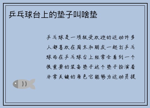 乒乓球台上的垫子叫啥垫
