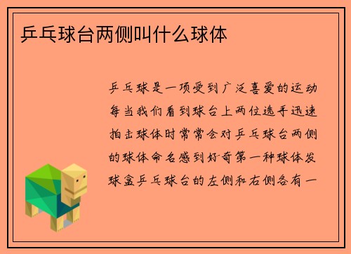 乒乓球台两侧叫什么球体