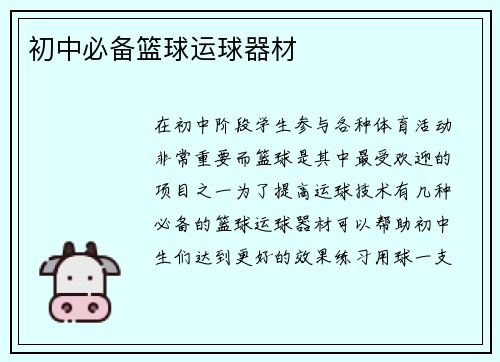 初中必备篮球运球器材